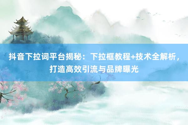 抖音下拉词平台揭秘：下拉框教程+技术全解析，打造高效引流与品牌曝光
