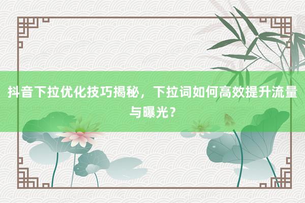 抖音下拉优化技巧揭秘，下拉词如何高效提升流量与曝光？