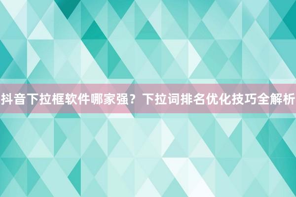 抖音下拉框软件哪家强？下拉词排名优化技巧全解析