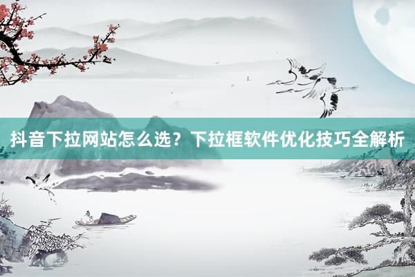抖音下拉网站怎么选？下拉框软件优化技巧全解析