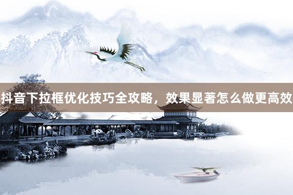 抖音下拉框优化技巧全攻略，效果显著怎么做更高效