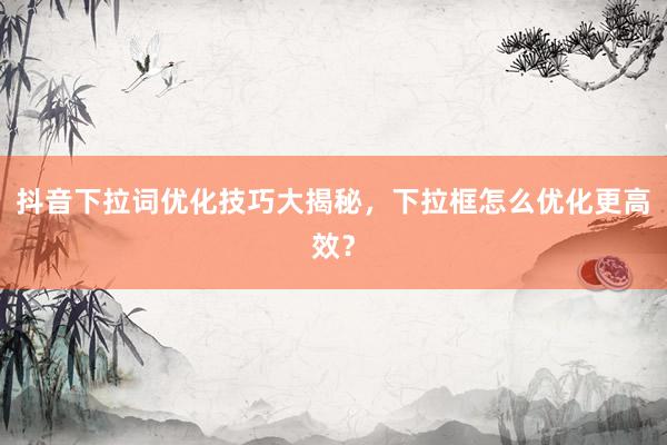 抖音下拉词优化技巧大揭秘，下拉框怎么优化更高效？
