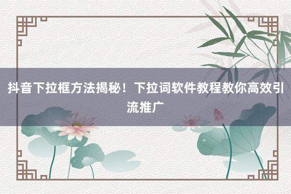 抖音下拉框方法揭秘！下拉词软件教程教你高效引流推广