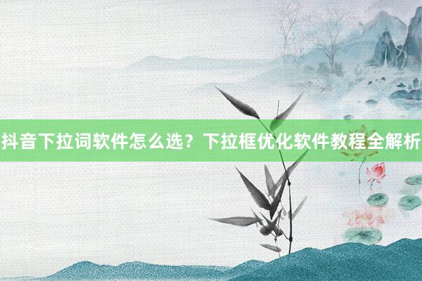 抖音下拉词软件怎么选？下拉框优化软件教程全解析