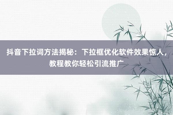 抖音下拉词方法揭秘：下拉框优化软件效果惊人，教程教你轻松引流推广
