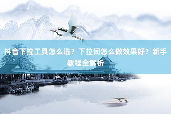 抖音下拉工具怎么选？下拉词怎么做效果好？新手教程全解析