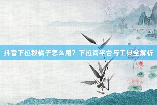 抖音下拉毅橘子怎么用？下拉词平台与工具全解析