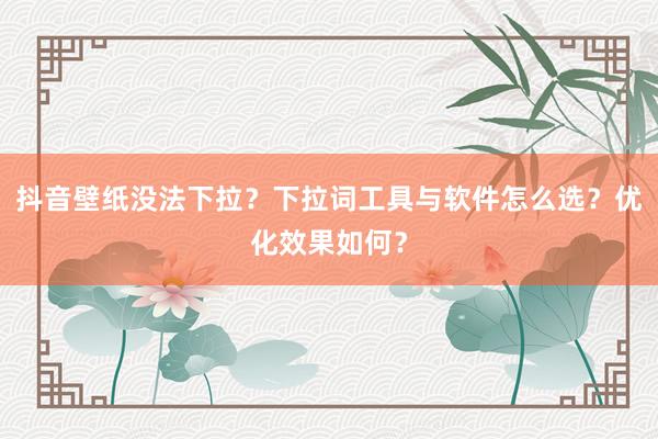 抖音壁纸没法下拉？下拉词工具与软件怎么选？优化效果如何？