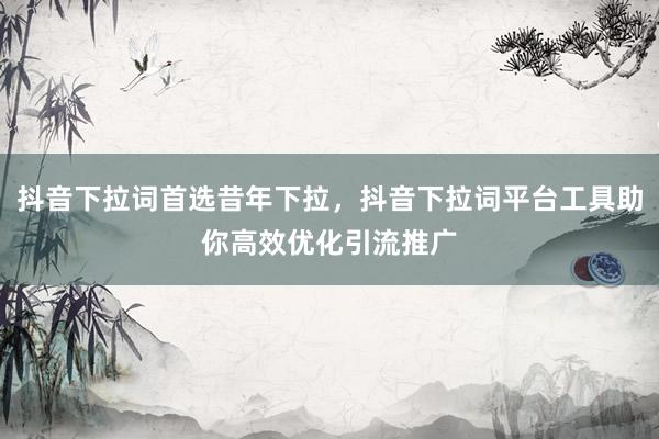 抖音下拉词首选昔年下拉，抖音下拉词平台工具助你高效优化引流推广