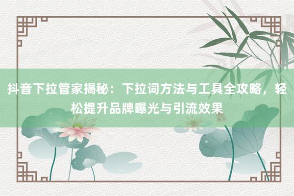抖音下拉管家揭秘：下拉词方法与工具全攻略，轻松提升品牌曝光与引流效果