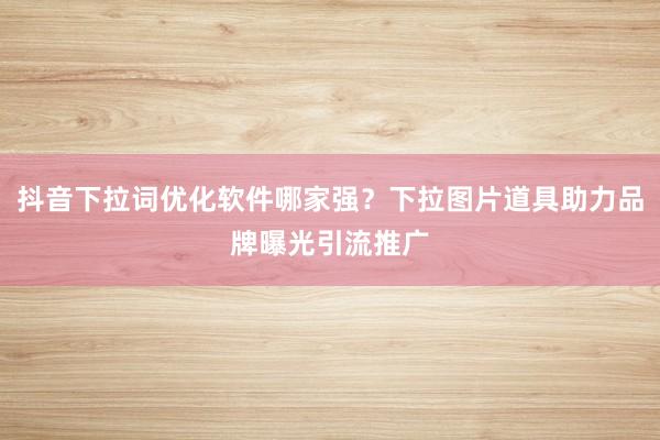 抖音下拉词优化软件哪家强？下拉图片道具助力品牌曝光引流推广