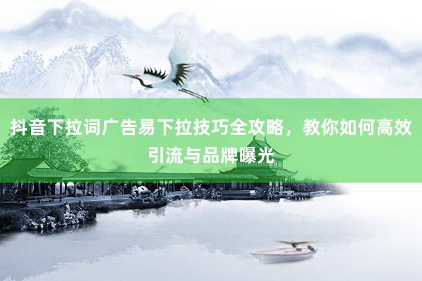 抖音下拉词广告易下拉技巧全攻略，教你如何高效引流与品牌曝光